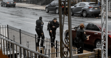 5e6b55d9a3101282065c8115