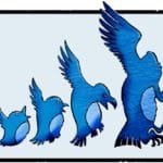 Twitter_Patter_Ada_2670032b