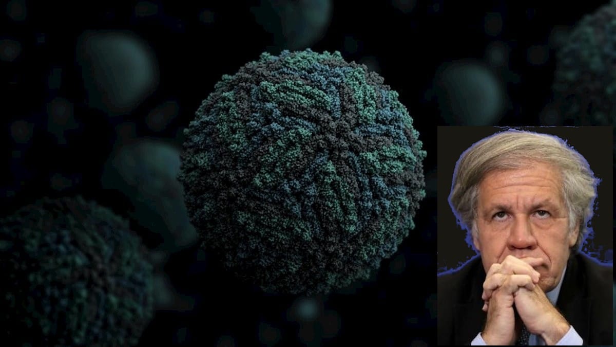 almavirus666orinocotribune