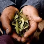 b66f6e36-9dc4-4cf8-8d59-397cf1ee04b1