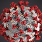 cdc-w9KEokhajKw-unsplash-1-e1584044973530