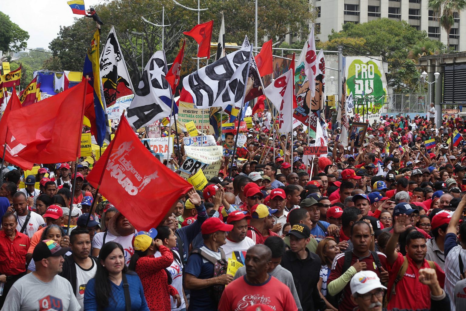 img_54541583867288-1536x1024