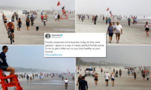 27391532-0-image-a-162_1587328981023