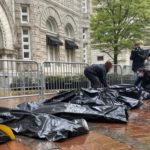 4435ae53-b07c-4a2d-89a6-184d06573ac7