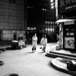 49703541237_c04218f888_k