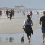 5e9c79b459bf5b789d7e7353