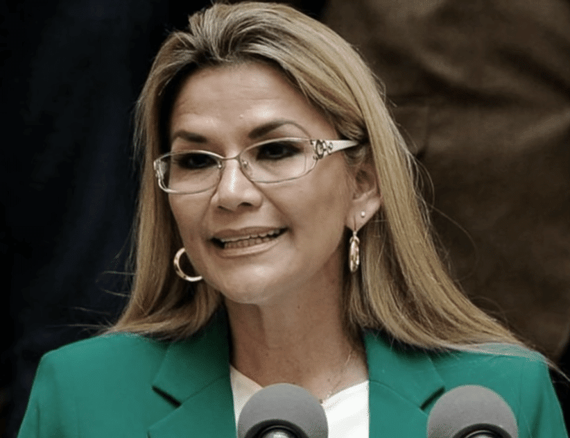 Jeanine_AnCC83ez_en_discurso_del_22_de_enero_de_2020