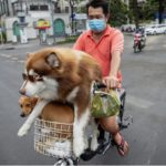 Screenshot at 18-22-30