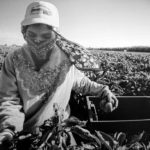 5-13-pandemic-trump-img