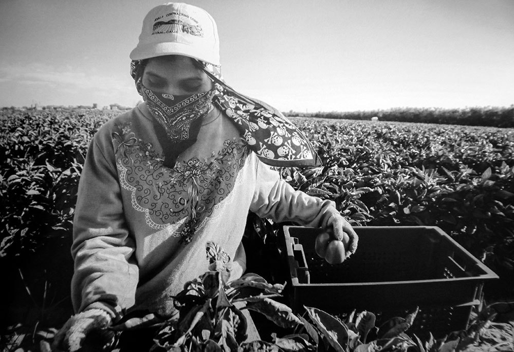 5-13-pandemic-trump-img