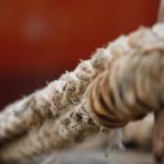 WhatsApp-Image-2020-05-25-at-10.26.11-AM