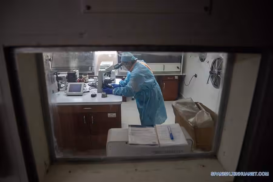 139124550_15916789246831n