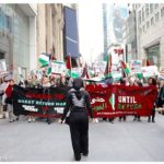 33020951_1933636046649681_1246850979081486336_n