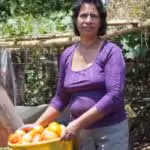 Nica-foto-1b-800x445-1