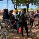 trocheros-en-La-Guajira