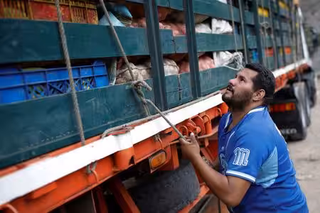 2018-02-09T112150Z_1_LYNXMPEE180SZ_RTROPTP_2_VENEZUELA-ECONOMY-TRUCKS