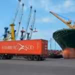 Cargamento-de-Pinas-y-mangos