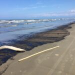 Derrame-de-petrC3B3leo-en-Boca-de-Aroa