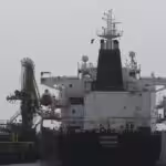 1080177975_0_0_3071_1727_1200x0_80_0_1_d873275b2d7e43357b1212203541ca97