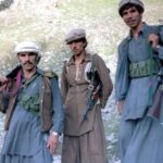 August_1985_Muja-720x556