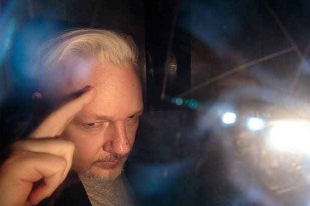 assange-feature-2