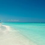 e97d7bfa-ed08-4b05-95af-eeb8344322c1