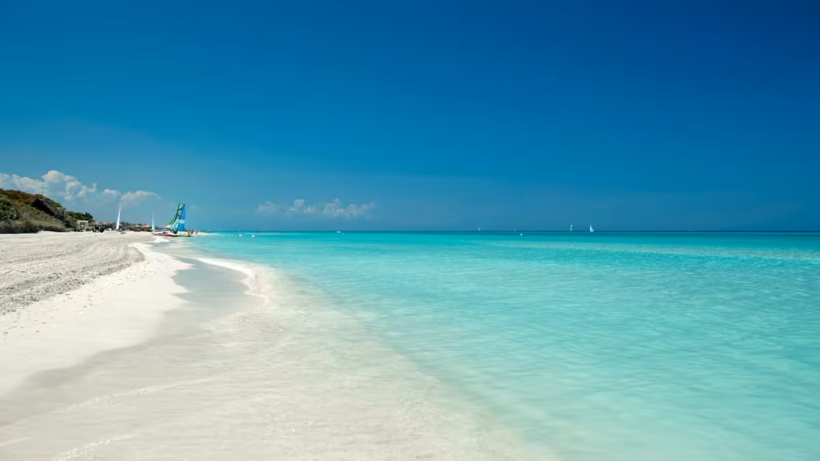 e97d7bfa-ed08-4b05-95af-eeb8344322c1