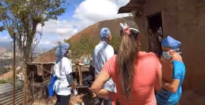 FireShot Capture 106 - Venezuela’s Socialist Healthcare System - Google Docs - docs.google.com