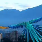 Screenshot at 22-11-55