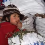 ecuador-market-boy-observer-child