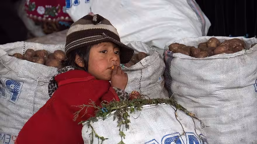 ecuador-market-boy-observer-child