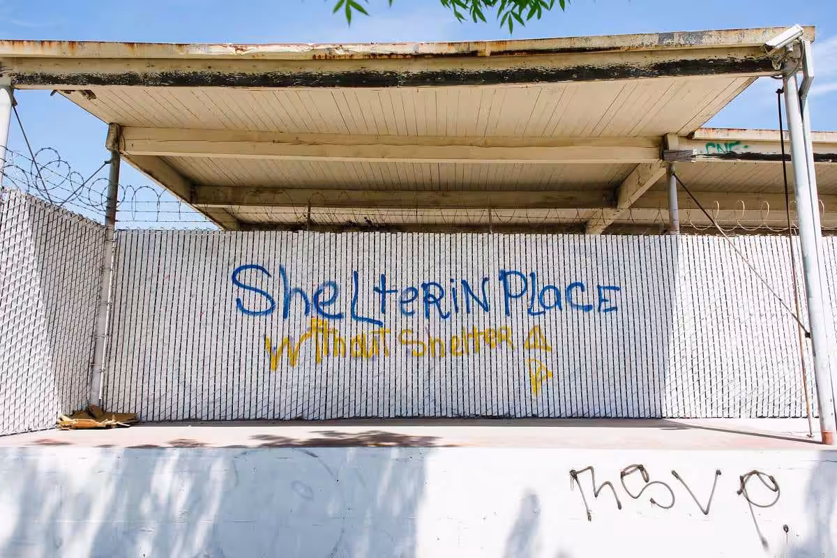 12-11-pasquil-img (1)