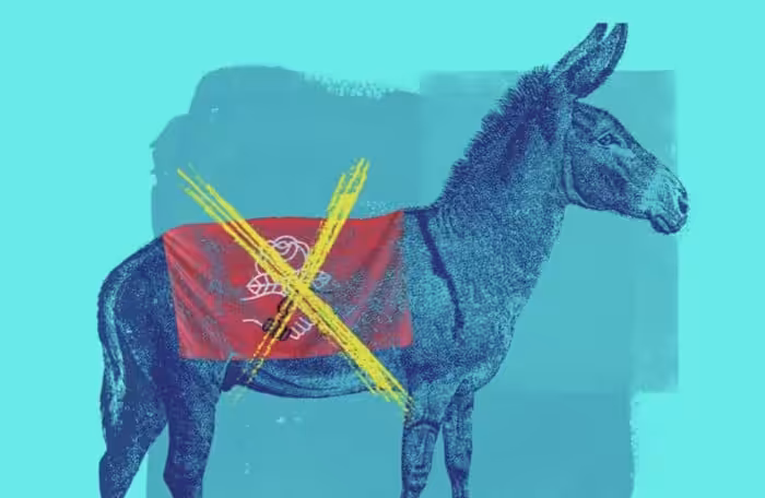 1_aHdBmRzEovszg3lLRaYYfg@2x