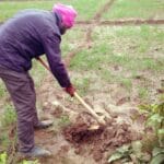 Punjab-Farmer-1-scaled