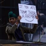 50716841813_37e67a50a3_c