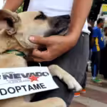 FireShot Capture 291 - Mision NevadoWORD.docx - Google Docs - docs.google.com