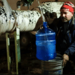 The flow of fuel from Texas to some Mexican power plants has been limited in recent days due to low temperatures in the southern United States. REUTERS - JOSE LUIS GONZALEZ