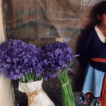 FireShot Capture 353 - 2-19-guat.jpg (1971×1568) - i0.wp.com