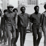 Black-Panthers-678x455