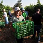 GettyImages-841484420