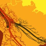 elecciones_ecuador_int