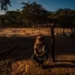 Featured image: A new NYT's piece deepening in its smear campaign on Venezuela put the blame on the current military incidents in Apure state on Venezuela that is the one fighting and putting the life of its military people at risk to spell Colombian narco terrorist organizations coming from a country where the US has seven military bases allegedly to fight drug trafficking. Even the images they use are taken using filters and shadows to reinforce the narrative of a failed state. Photo courtesy of the pamphlet NYT. 