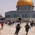 ‘The Hamas’ Are Coming: A View of the Violence from Inside Israel