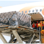 Venezuela received 25 tons of medical supplies from China - May 18, 2021