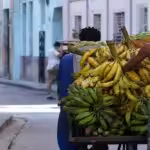 US Troops Die for World Domination, Not Freedom