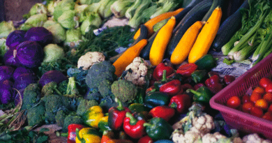 Screen Shot 2021-06-15 at 17.13.55