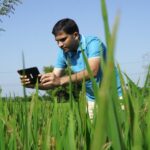 india-microsoft-agritech-cropshare-1853x900