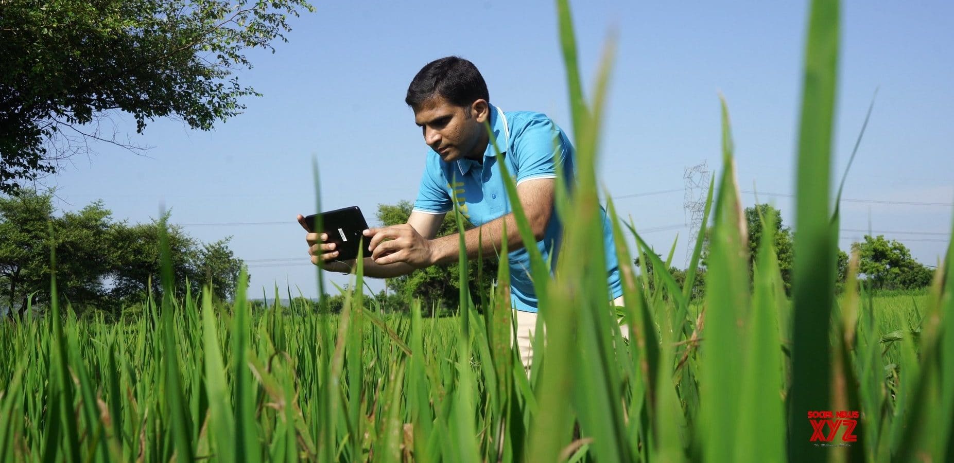 india-microsoft-agritech-cropshare-1853x900