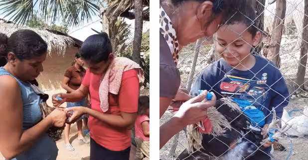 FireShot Capture 544 - NicaNotes_ Bringing the Voices of the Nicaraguan People to Congress -_ - afgj.org