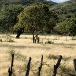 Cuba: Demonstration of ‘Revolutionary Reaffirmation’ in Havana